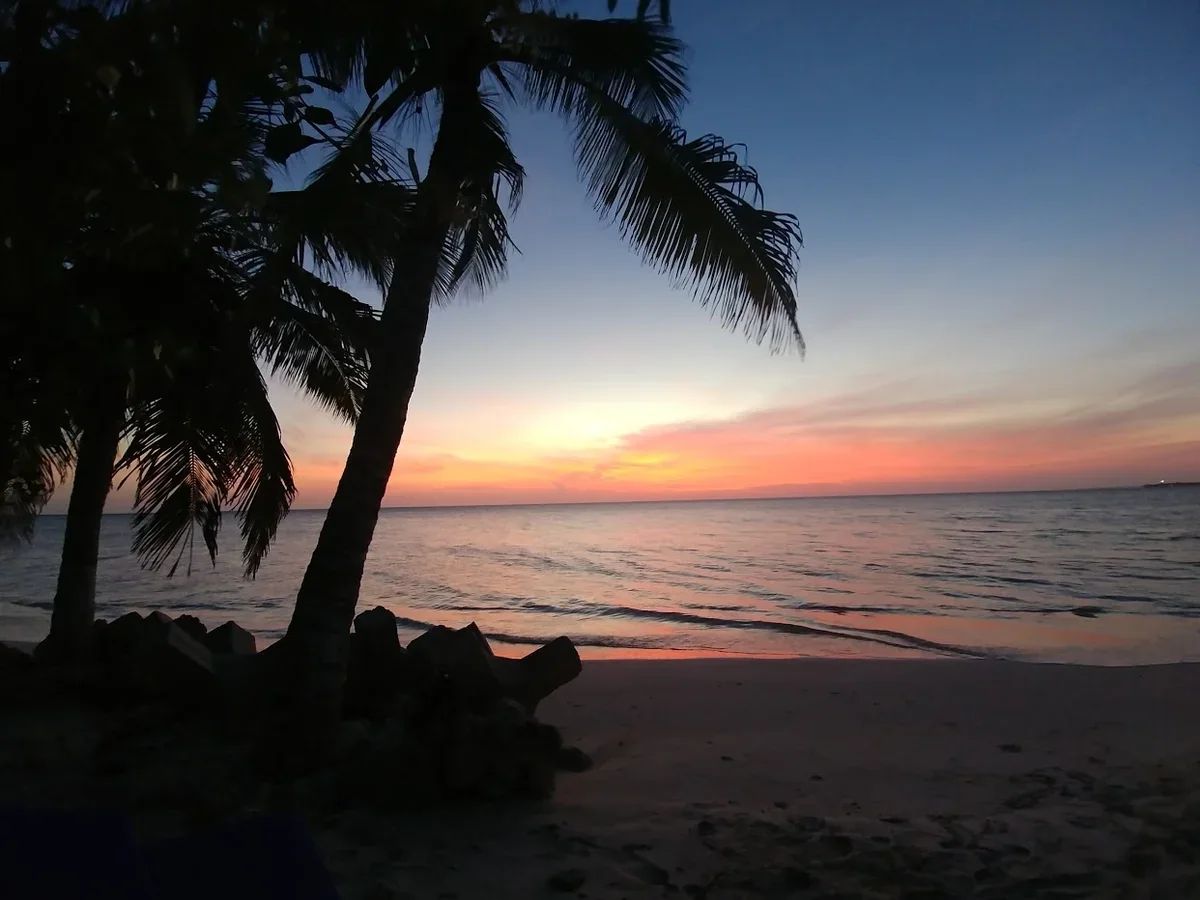 Atardecer en la orilla bajo la silueta de las palmeras