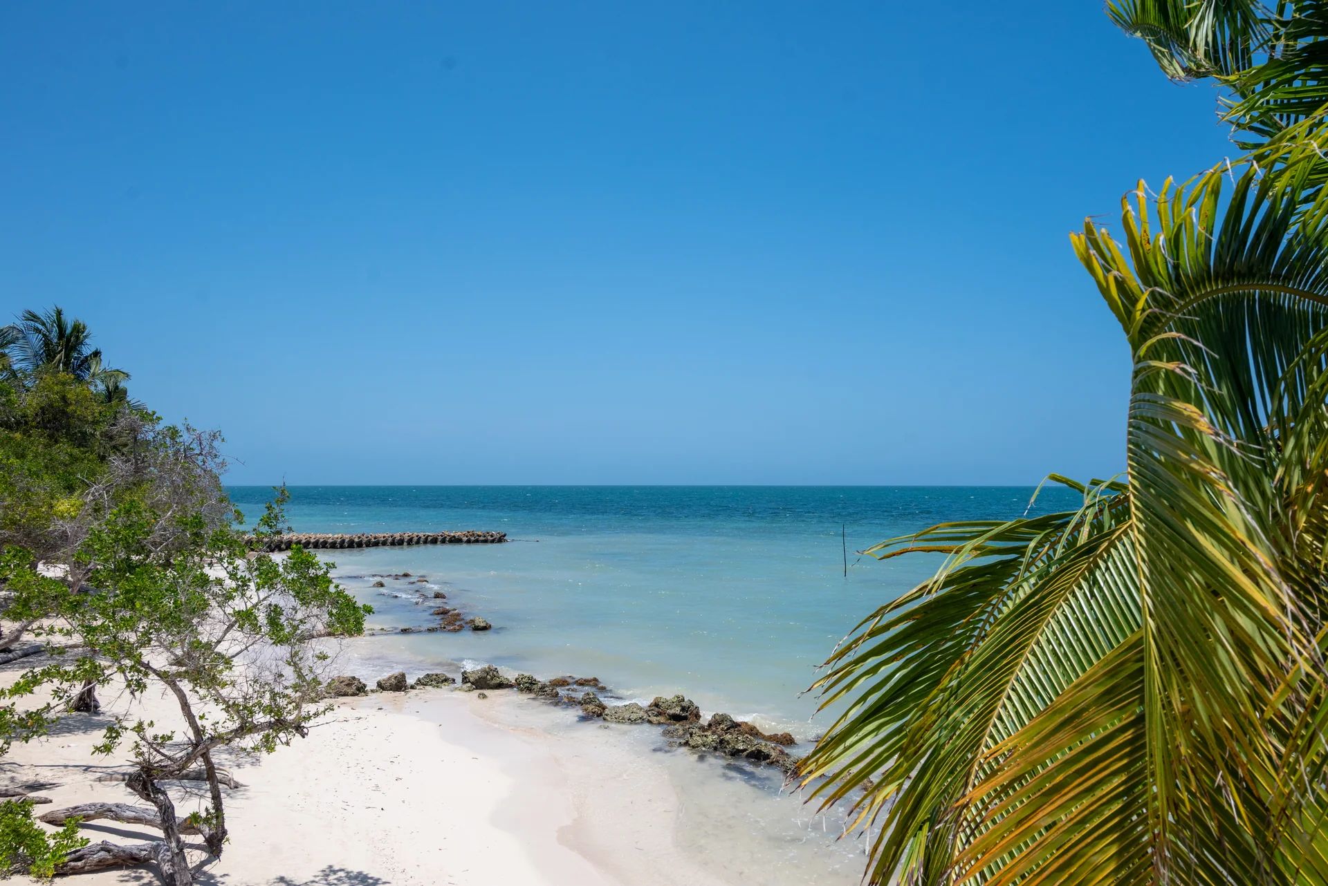 Secluded non-vendor beach at Casa Gaviota in Isla Barú with palm trees and turquoise water