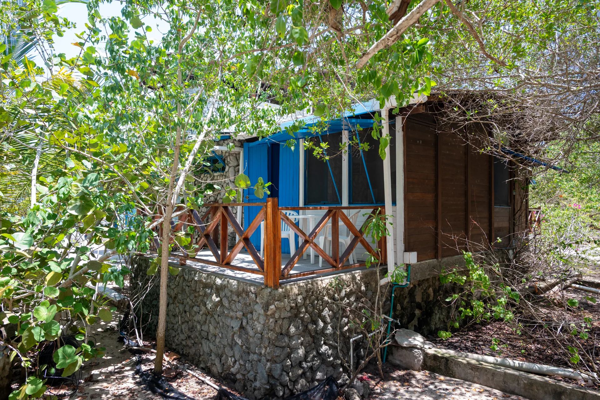 Entrada de la habitación sur entre los árboles