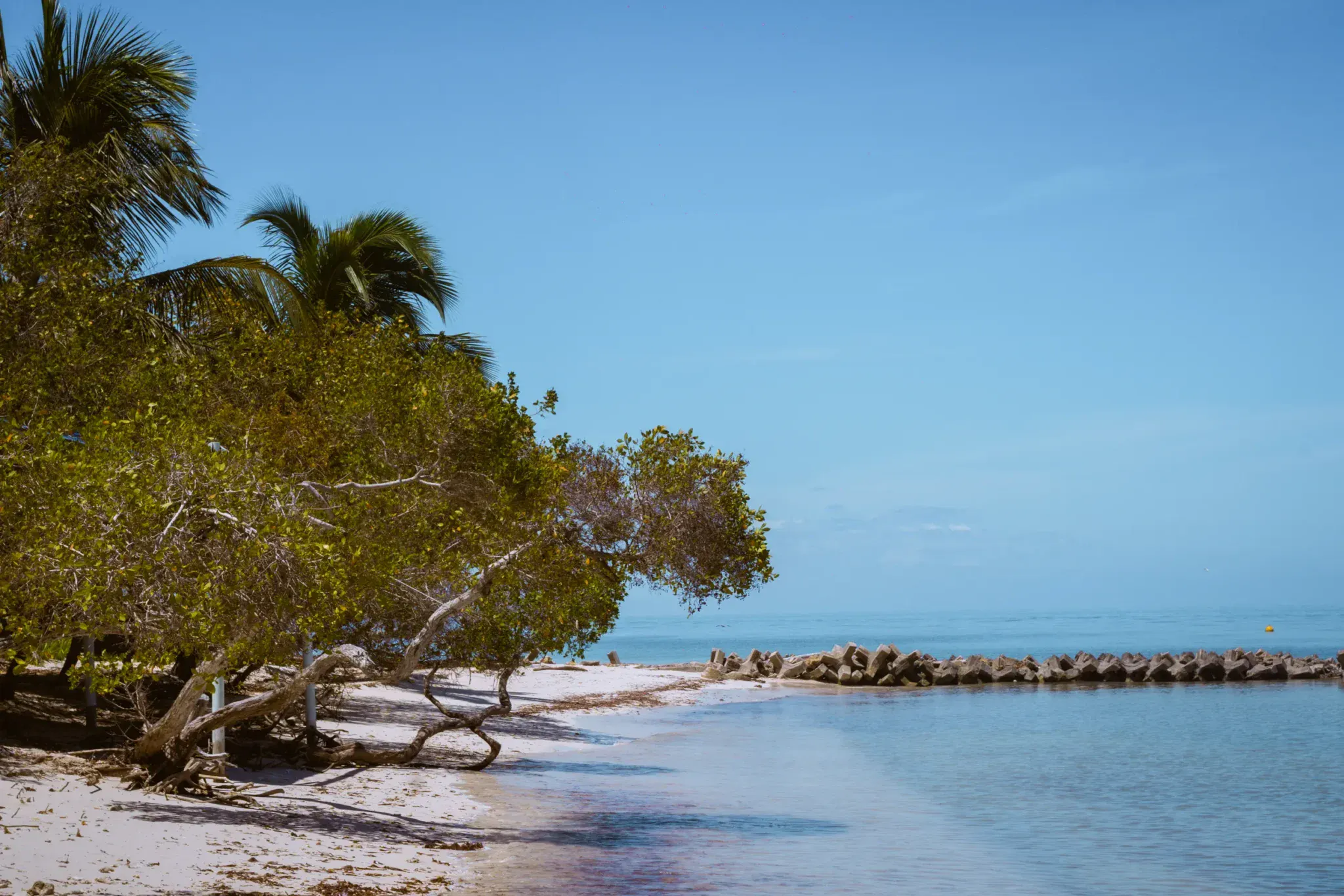 Casa Gaviota beach